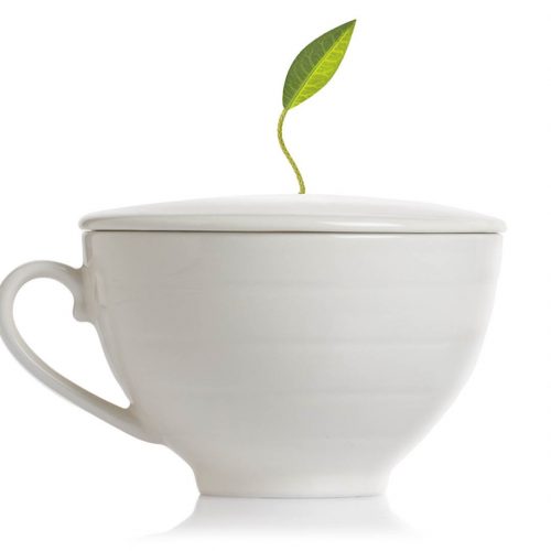 2726 Cafe Cup Bone White