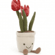 4921 Amuseable Tulip