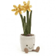 5278 Amuseable Daffodil