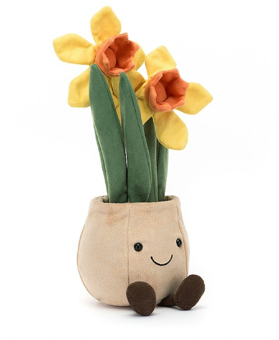 22875 Amuseable Daffodil Pot